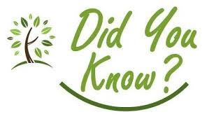 Did you know?